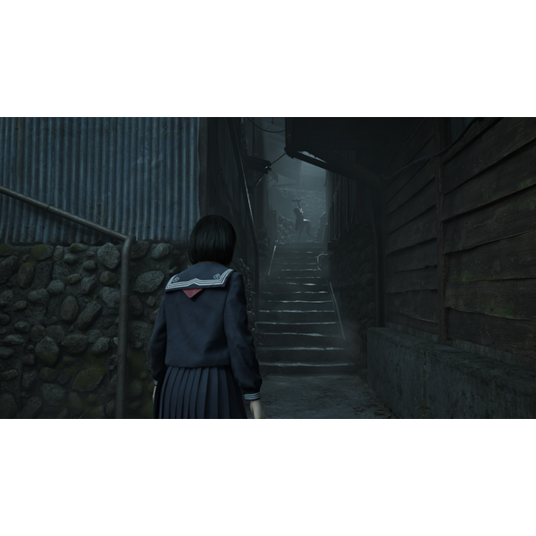 Silent Hill 2 & Silent Hill f Deluxe Dual Pack (ROW) PC Download