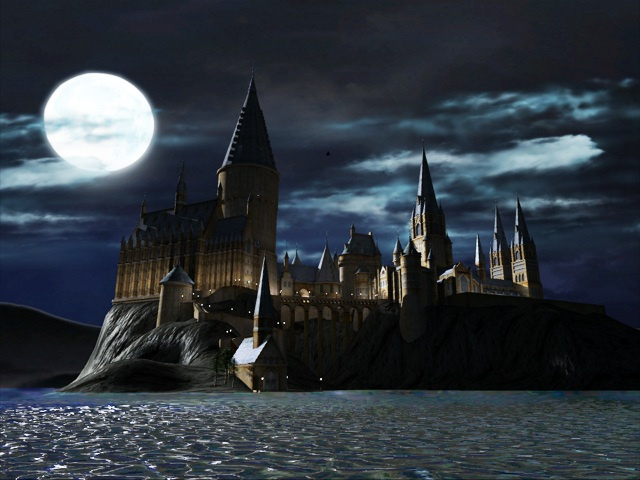 LEGO Harry Potter Years 1-4 PC Download