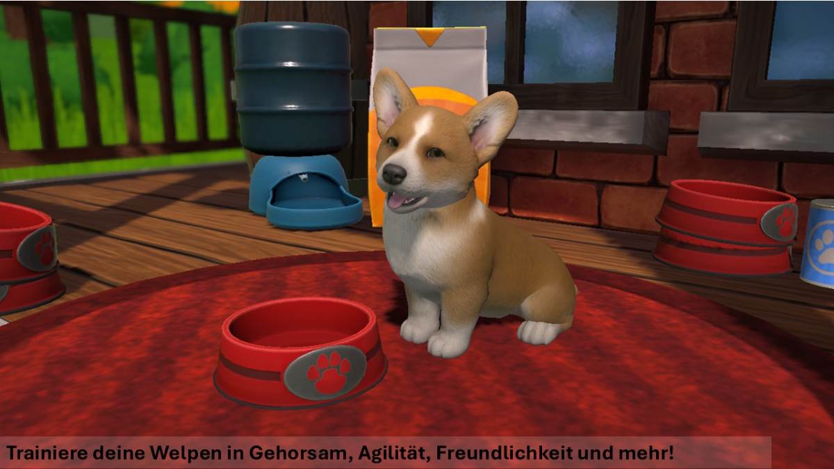 Little Friends: Puppy Island – Die Insel der Welpen - Switch