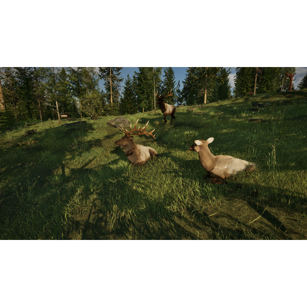 Rangers Path: National Park Simulator