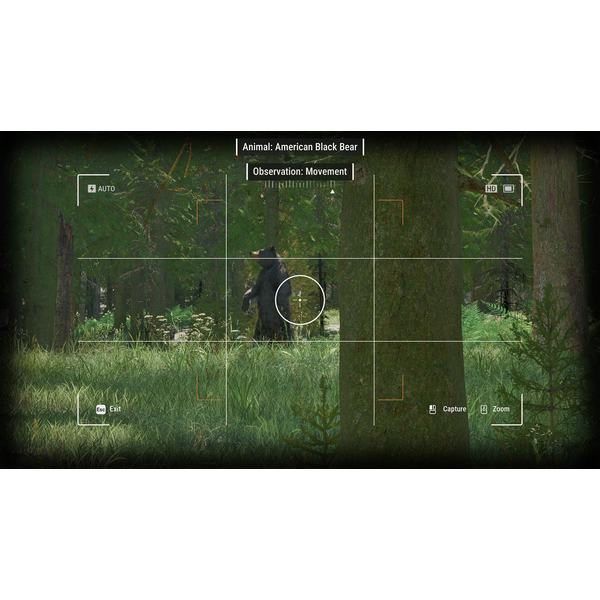 Rangers Path: National Park Simulator