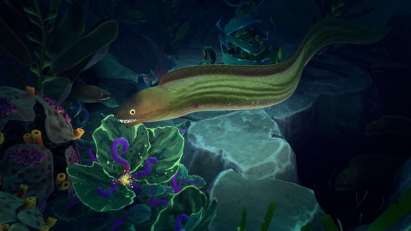 Life Below