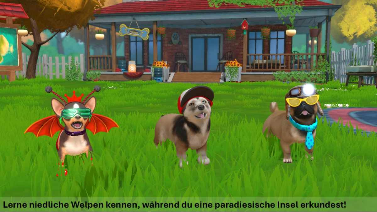 Little Friends: Puppy Island – Die Insel der Welpen - Switch