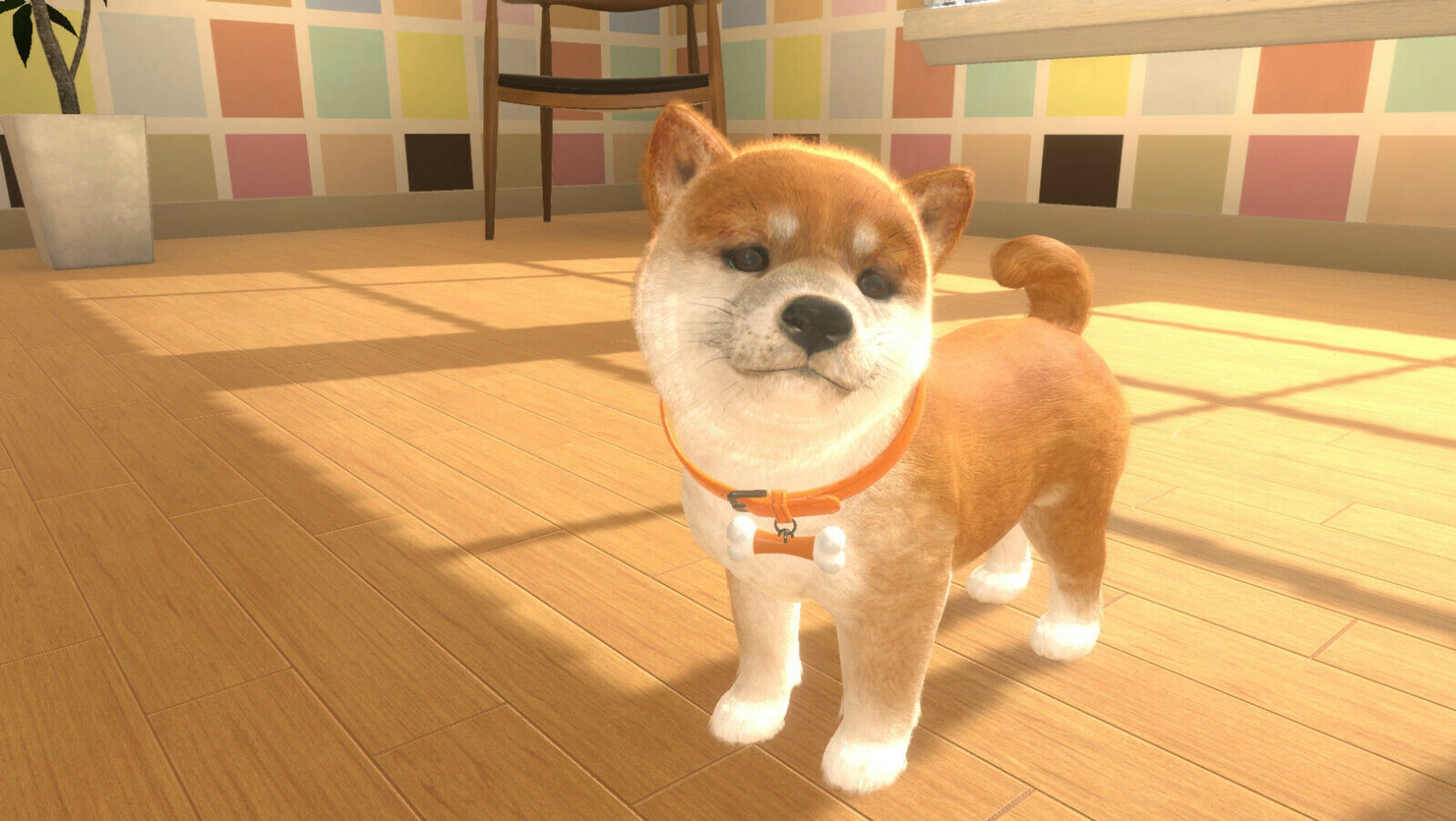 Little Friends: Dogs & Cats - Switch