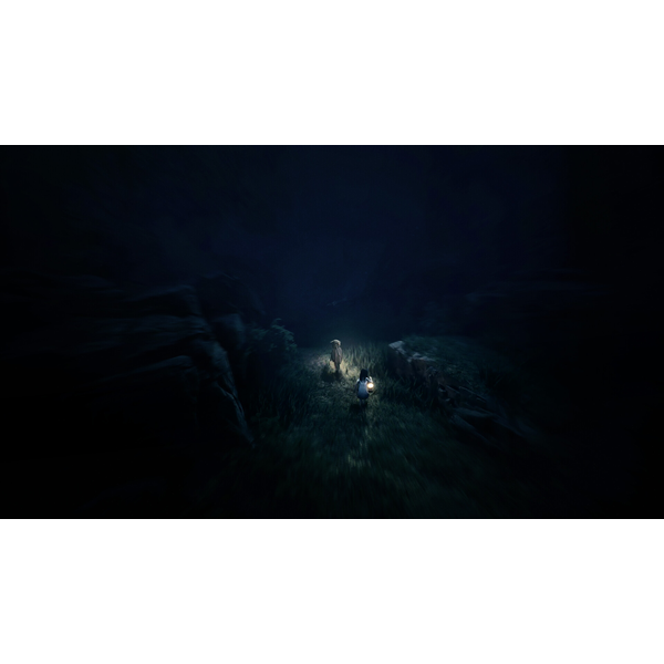Reanimal (ROW) PC Download