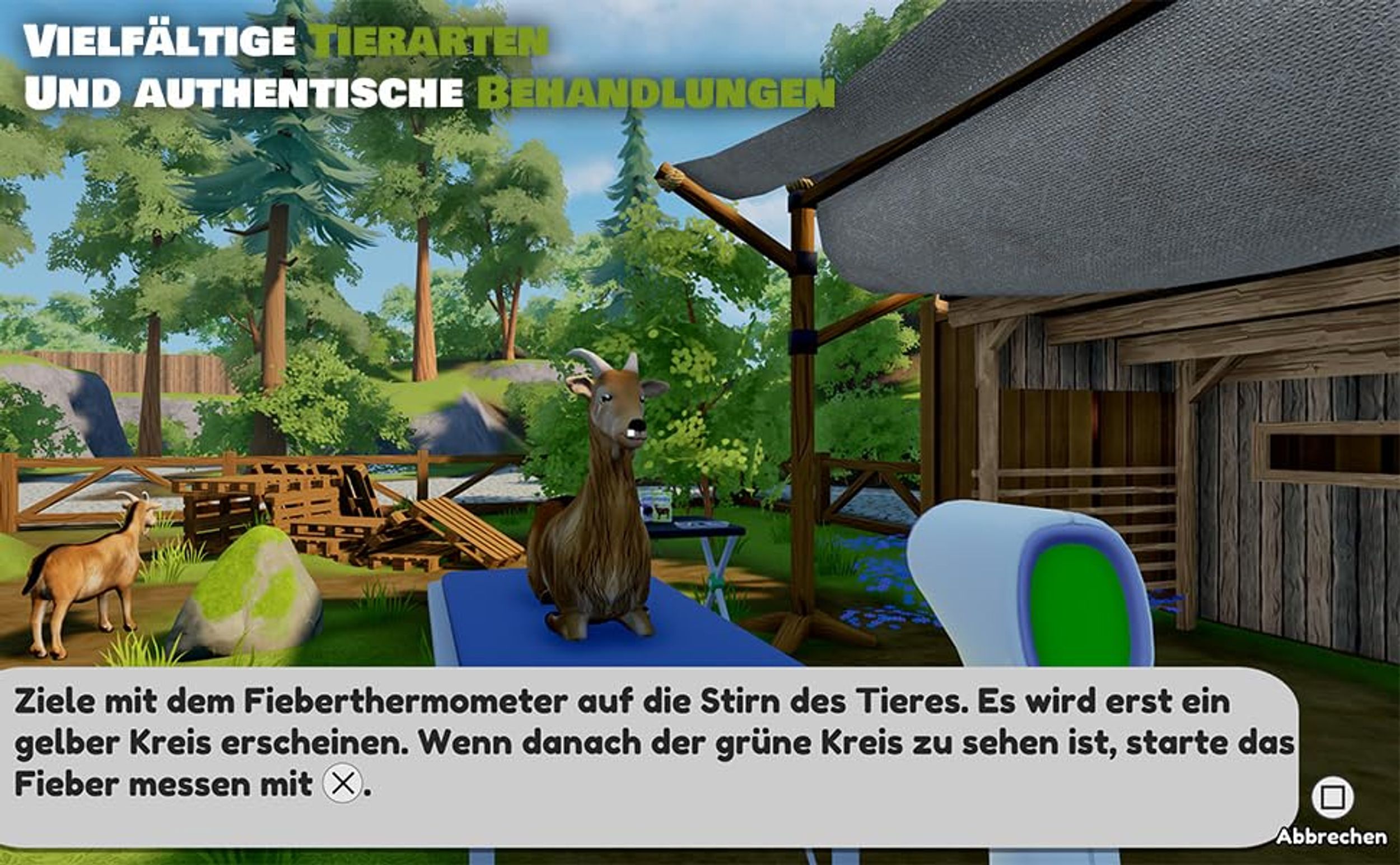 Sofias Tierklinik - Einsatz im Wildtierpark - PS4