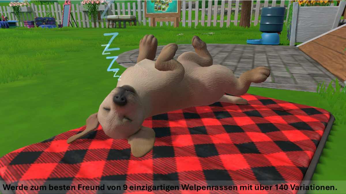 Little Friends: Puppy Island – Die Insel der Welpen - Switch