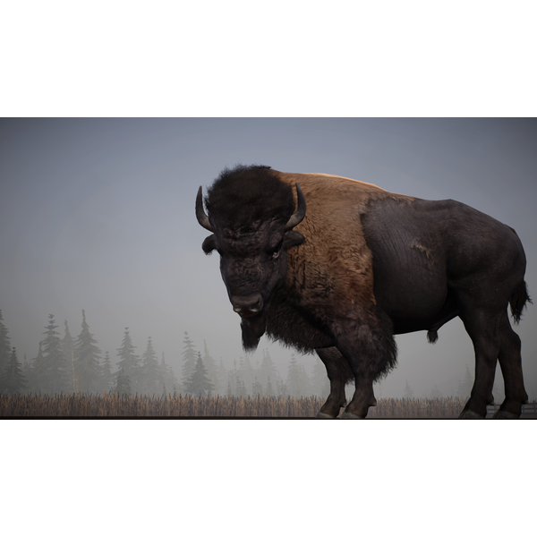 Alaskan Road Truckers