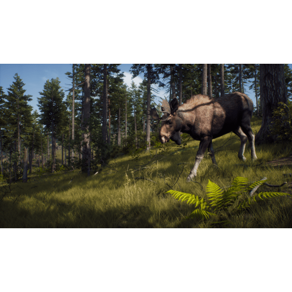 Way of the Hunter PC Download (ROW)