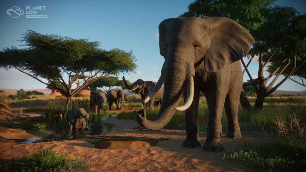 Planet Zoo - Xbox Series X