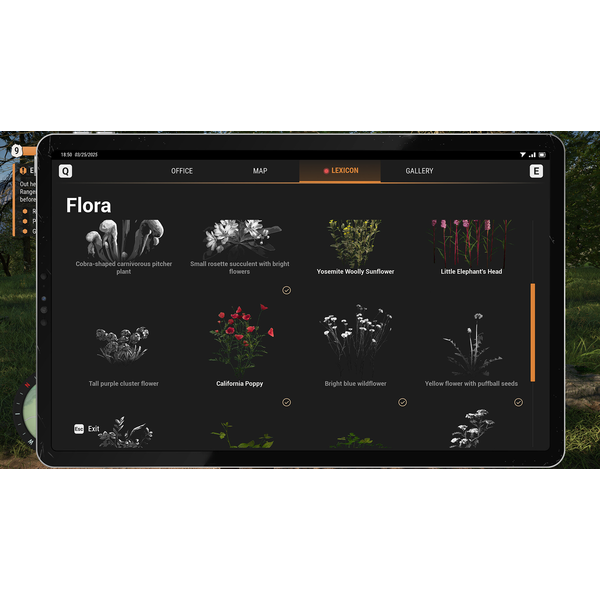Rangers Path: National Park Simulator