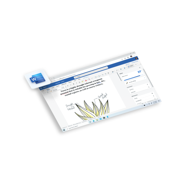Microsoft 365 Personal