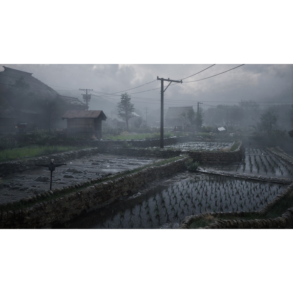 Silent Hill 2 & Silent Hill f Standard Dual Pack (ROW) PC Download