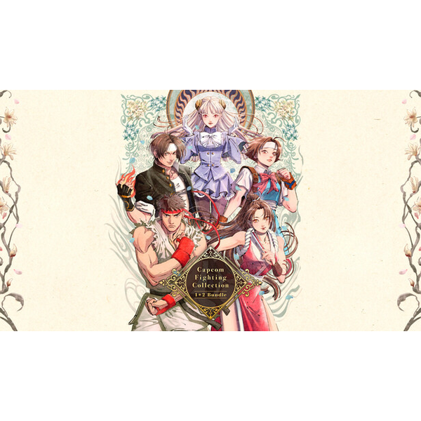 Capcom Fighting Collection 1 + 2 Bundle
