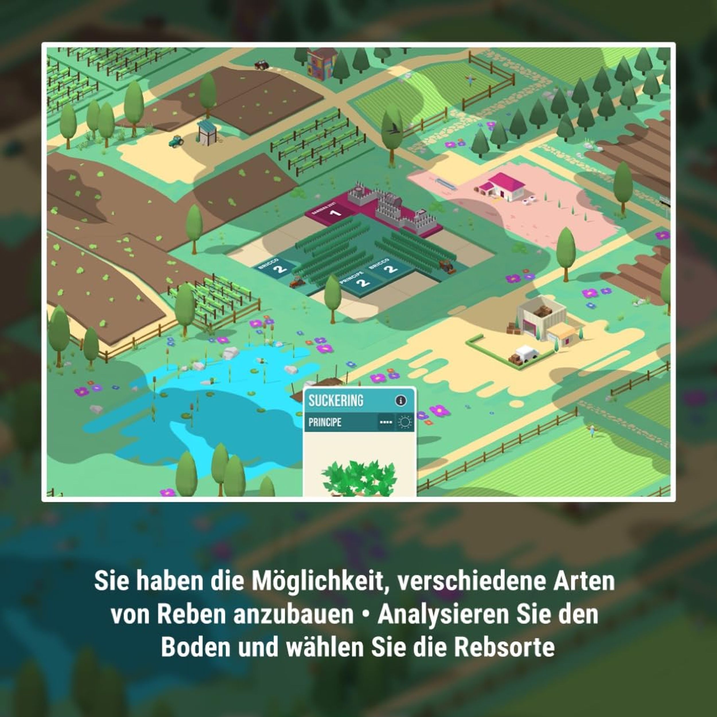 Hundred Days: Wine Making Simulator - Switch