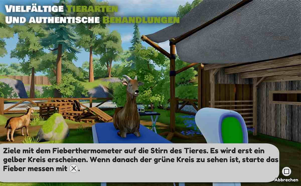 Sofias Tierklinik - Einsatz im Wildtierpark  -PS5