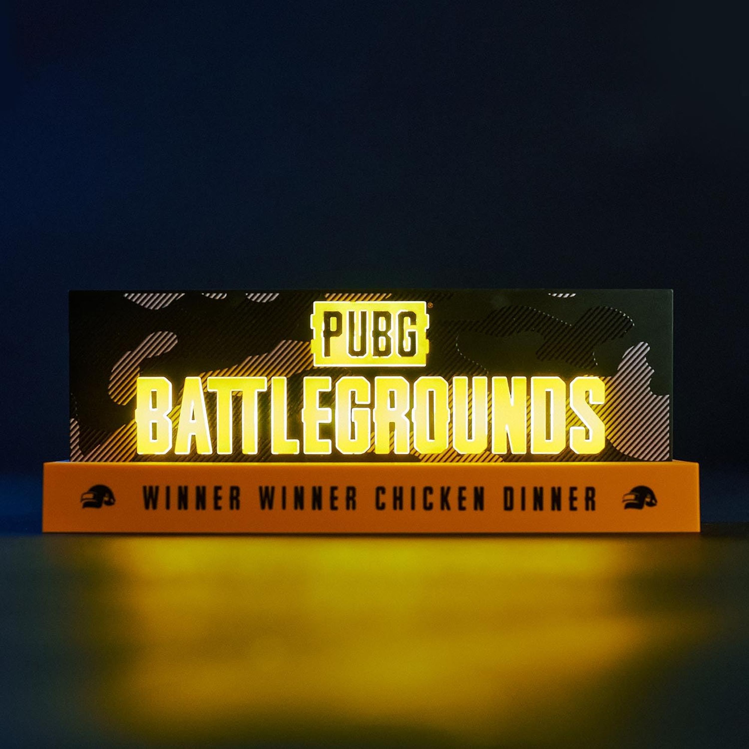 LED Light PUBG Logo