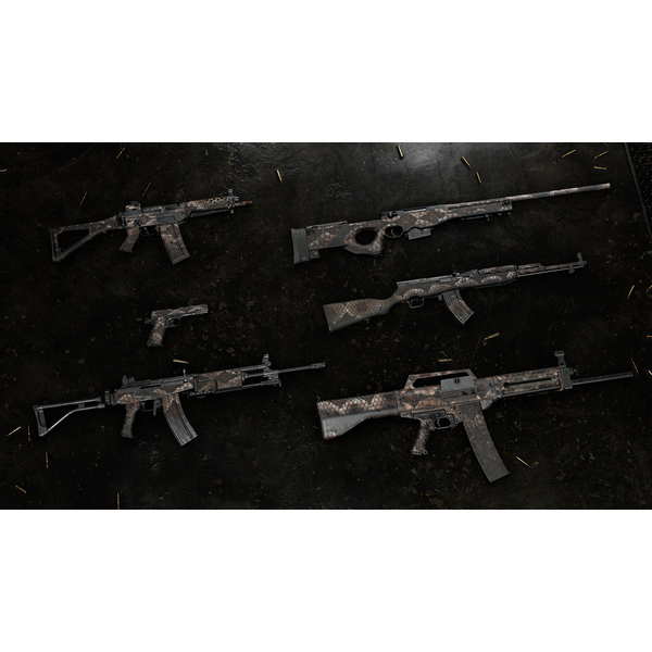 Insurgency: Sandstorm - Year 4 Pass
