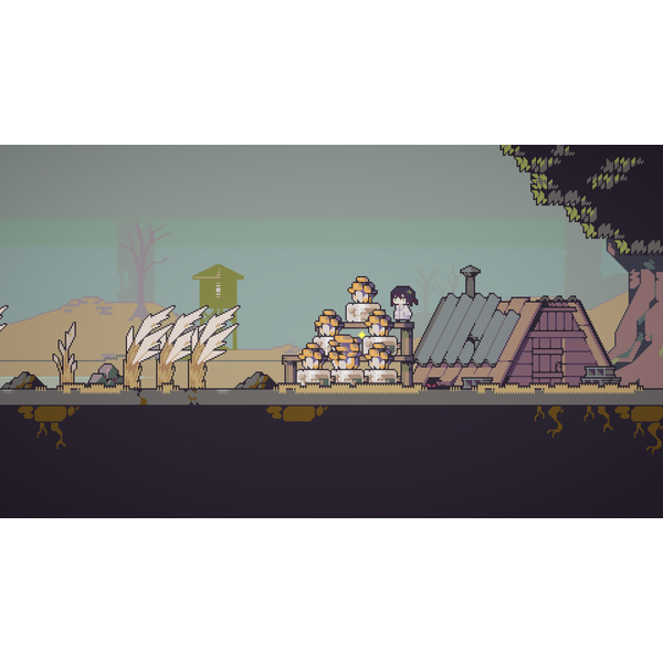 Doloc Town