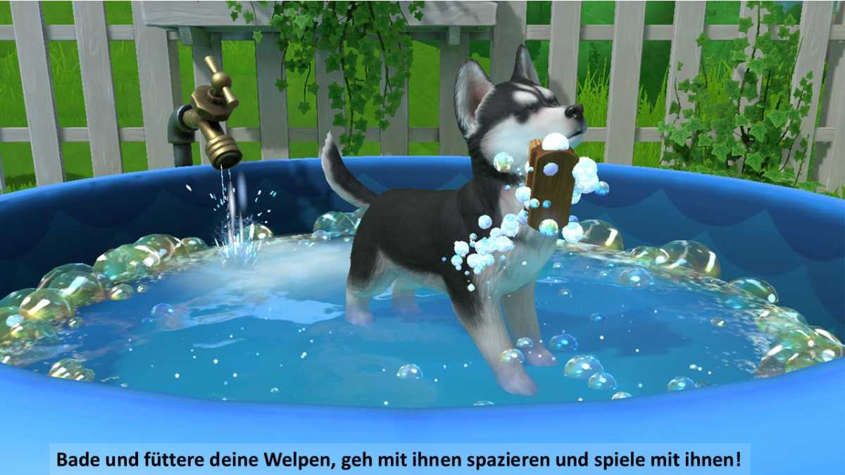 Little Friends: Puppy Island – Die Insel der Welpen - Switch