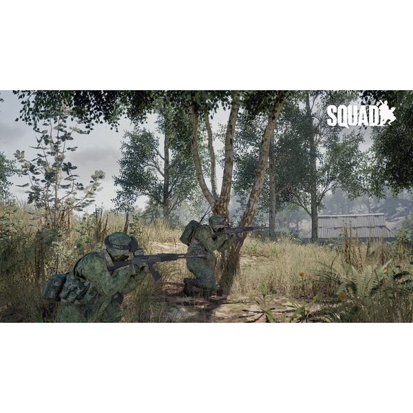 Squad PC Download