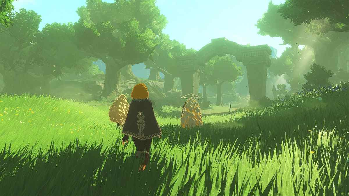 Hyrule Warriors: Age of Imprisonment Switch 2 Download ( Uk - EU)