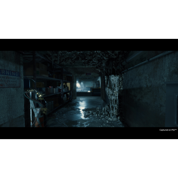 Death Stranding Director's Cut Upgrade
