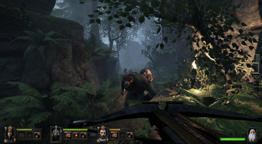 Warhammer: End Times - Vermintide PC