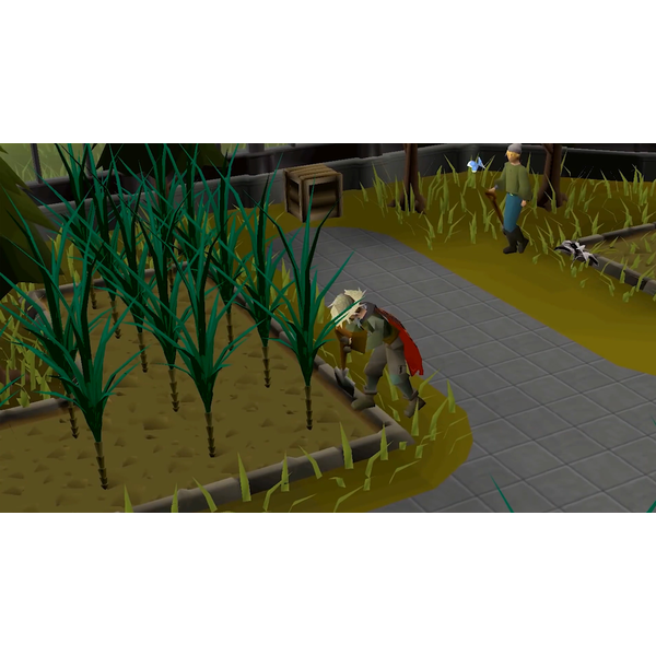 Old School RuneScape 1-Month Membership