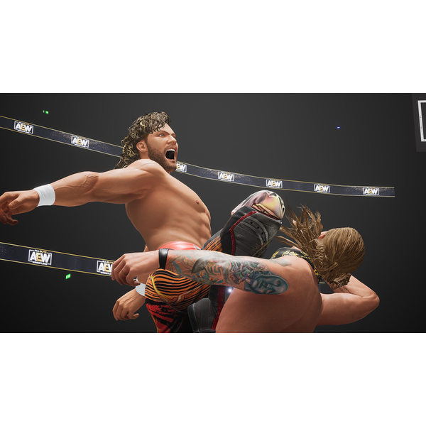 AEW: Fight Forever Elite Edition