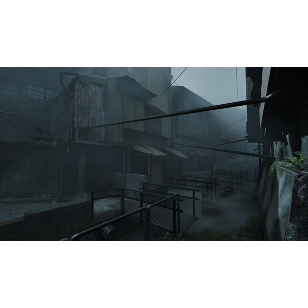 Silent Hill 2 & Silent Hill f Standard Dual Pack (ROW) PC Download