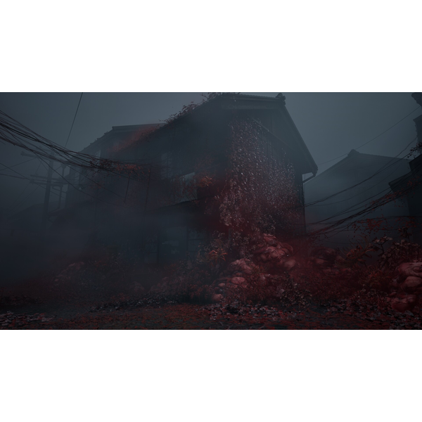 Silent Hill 2 & Silent Hill f Standard Dual Pack (ROW) PC Download