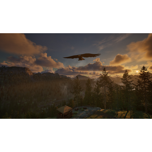 Rangers Path: National Park Simulator