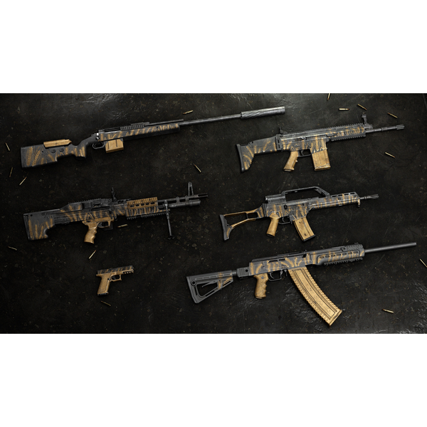 Insurgency: Sandstorm - Year 4 Pass